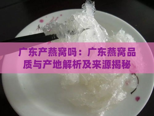 广东产燕窝吗：广东燕窝品质与产地解析及来源揭秘