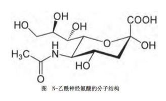 燕窝酸含量与什么有关呢：燕窝中燕窝酸含量差异及高含量意义解析