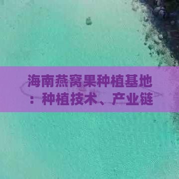 海南燕窝果种植基地：种植技术、产业链发展、市场前景及旅游参观指南