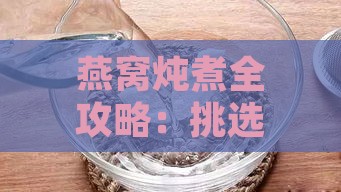 燕窝炖煮全攻略：挑选更佳水质与水量，解锁炖煮燕窝的正确方法