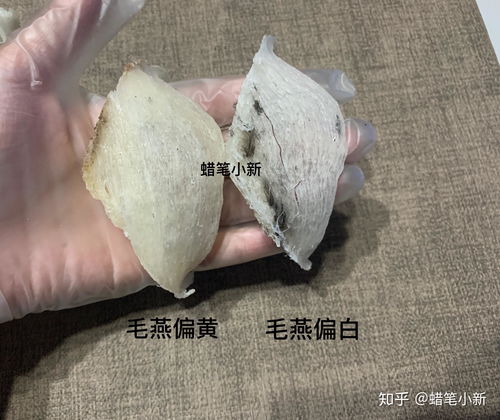 燕窝里有黄色点点是什么东西，揭秘燕窝上的黄色斑点真相