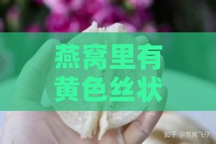 燕窝里有黄色丝状物正常吗及其原因与含义解析