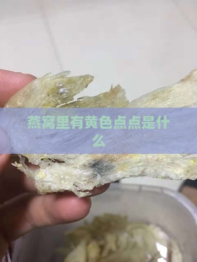 燕窝里有黄色点点是什么