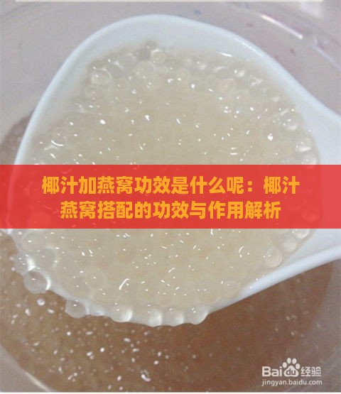 椰汁加燕窝功效是什么呢：椰汁燕窝搭配的功效与作用解析