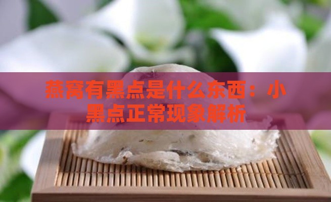 燕窝有黑点是什么东西：小黑点正常现象解析