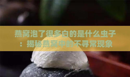 燕窝泡了很多白的是什么虫子：揭秘燕窝中的不寻常现象