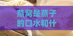 燕窝是燕子的口水和什么：揭秘燕窝真相，营养价值与疑问解析