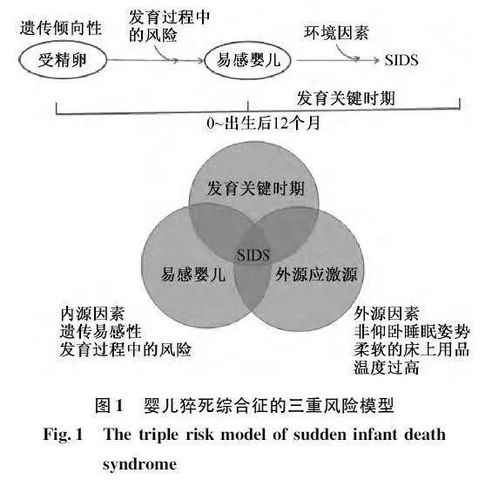 探究燕窝酸对人体的益处与潜在风险