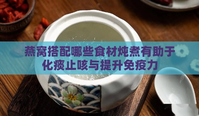 燕窝搭配哪些食材炖煮有助于化痰止咳与提升免疫力