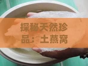 探秘天然珍品：土燕窝的独特功效与多重作用解析