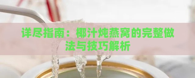 详尽指南：椰汁炖燕窝的完整做法与技巧解析