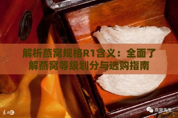 解析燕窝规格R1含义：全面了解燕窝等级划分与选购指南