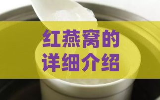 红燕窝的详细介绍：成分、功效、食用方法及与传统燕窝的区别