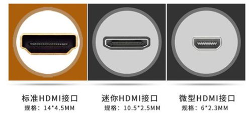 揭秘燕窝绿色盒子：含义、、选购指南及常见疑问解答