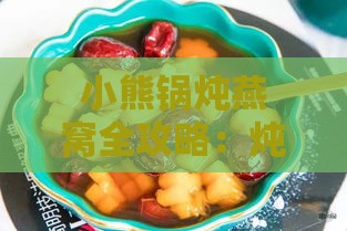 小熊锅炖燕窝全攻略：炖煮技巧、食材选择与营养解析