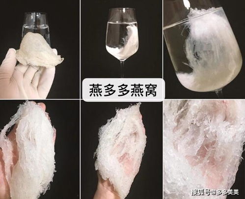 探究多种水泡发燕窝的效果对比：找出更佳泡发方法与技巧