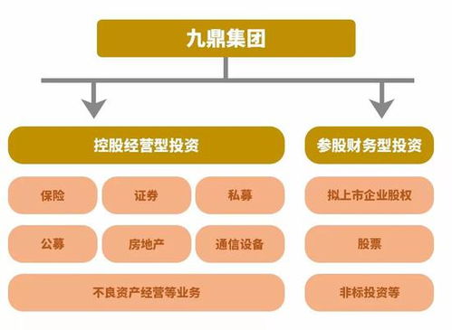 劲味思燕窝属于什么级别：品质评测与市场定位解析