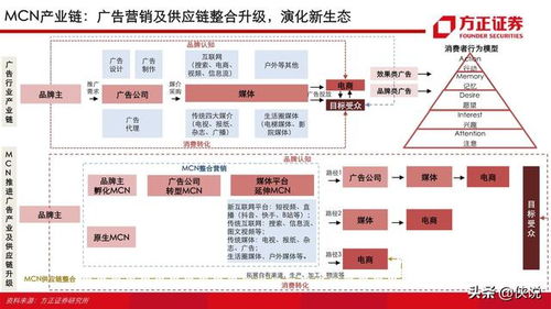 劲味思燕窝属于什么级别：品质评测与市场定位解析