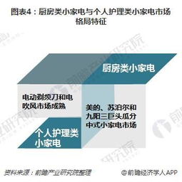 探究高端养生市场：燕窝消费群体的细分与特征分析