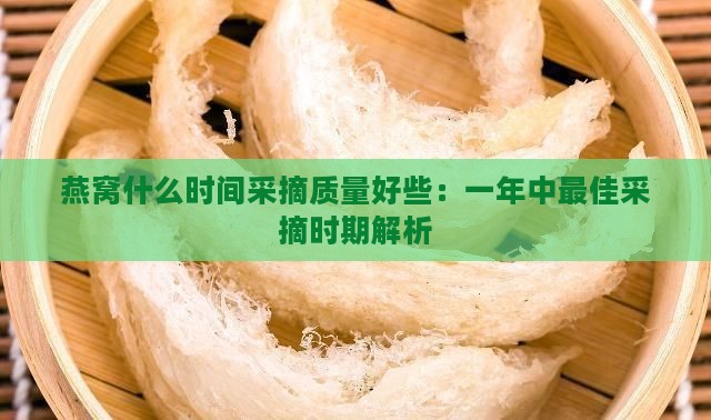 燕窝什么时间采摘质量好些：一年中更佳采摘时期解析