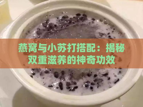 燕窝与小苏打搭配：揭秘双重滋养的神奇功效