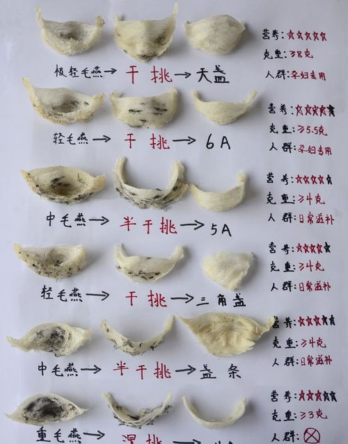 '探究燕窝市场：如何判断燕窝的合理价格区间'