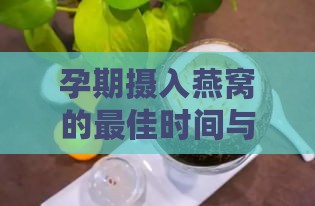 孕期摄入燕窝的更佳时间与建议：燕窝滋养攻略