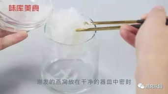 煮燕窝用什么器具好用呢