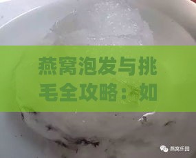 燕窝泡发与挑毛全攻略：如何选择更佳水质及正确处理方法