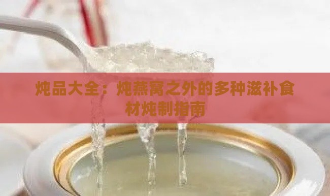 炖品大全：炖燕窝之外的多种滋补食材炖制指南