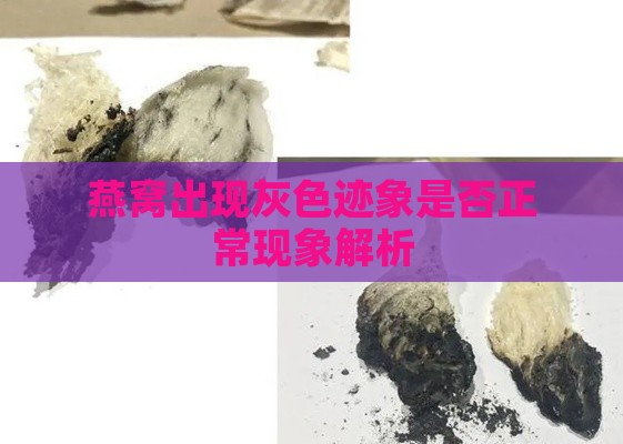 燕窝出现灰色迹象是否正常现象解析