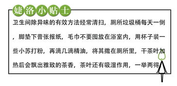 消除燕窝异味的有效方法：去除异味的实用技巧指南