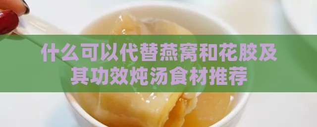 什么可以代替燕窝和花胶及其功效炖汤食材推荐