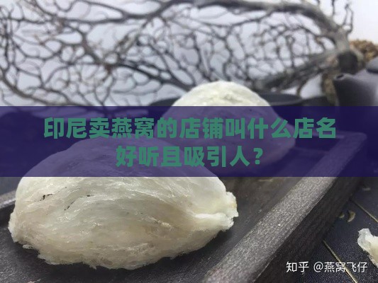 印尼卖燕窝的店铺叫什么店名好听且吸引人？