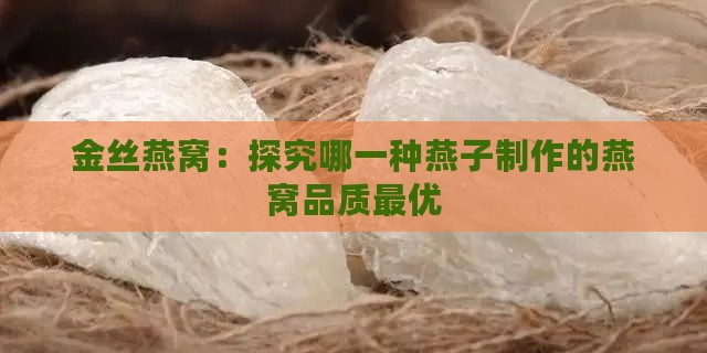 金丝燕窝：探究哪一种燕子制作的燕窝品质更优