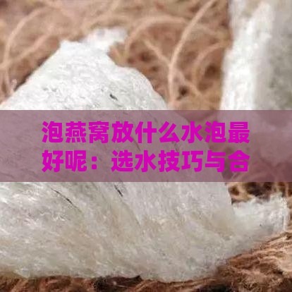 泡燕窝放什么水泡更好呢：选水技巧与合适泡发方法解析