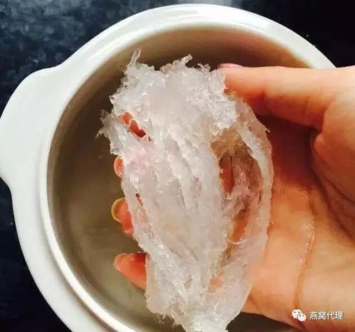 探寻优质口感：哪款燕窝更美味？