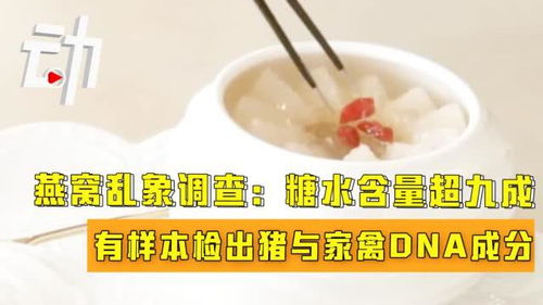 高价买的燕窝可能是糖水：揭秘虚假燕窝市场乱象