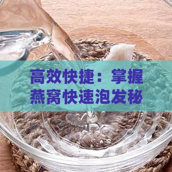 高效快捷：掌握燕窝快速泡发秘诀