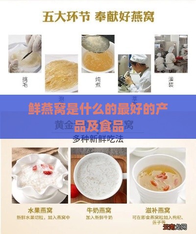 鲜燕窝是什么的更好的产品及食品