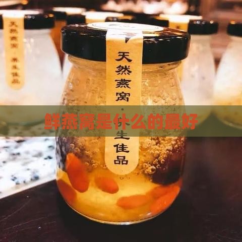 鲜燕窝是什么的更好