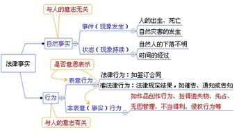 深度解析：燕窝的定义、分类及其营养价值与功效