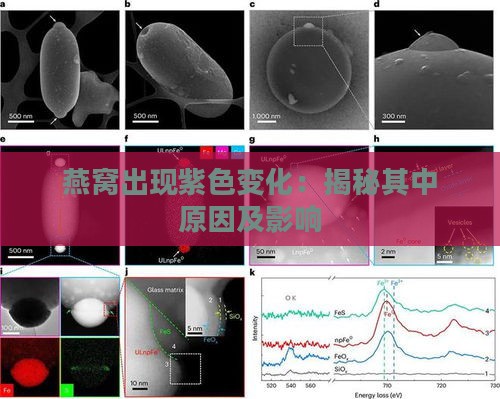 燕窝出现紫色变化：揭秘其中原因及影响