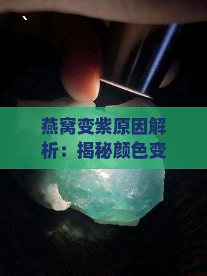 燕窝变紫原因解析：揭秘颜色变化背后的多种可能情况