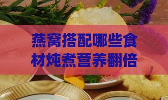 燕窝搭配哪些食材炖煮营养翻倍：全面解析燕窝炖品的营养组合与功效