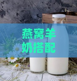 燕窝羊奶搭配哪些食材有助于改善睡眠质量与助眠效果