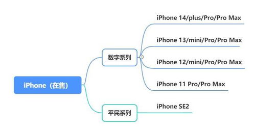 如何挑选燕窝：2023年权威推荐与选购指南