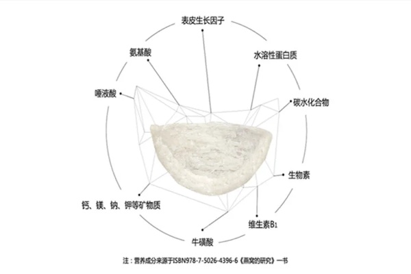 探究山燕窝的全面功效与作用：从养生保健到美容养颜的全方位解析