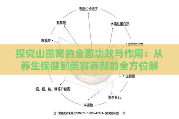 探究山燕窝的全面功效与作用：从养生保健到美容养颜的全方位解析