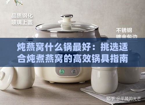 炖燕窝什么锅更好：挑选适合炖煮燕窝的高效锅具指南